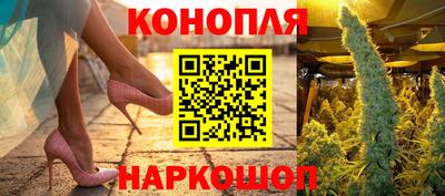 крисы Коммунар