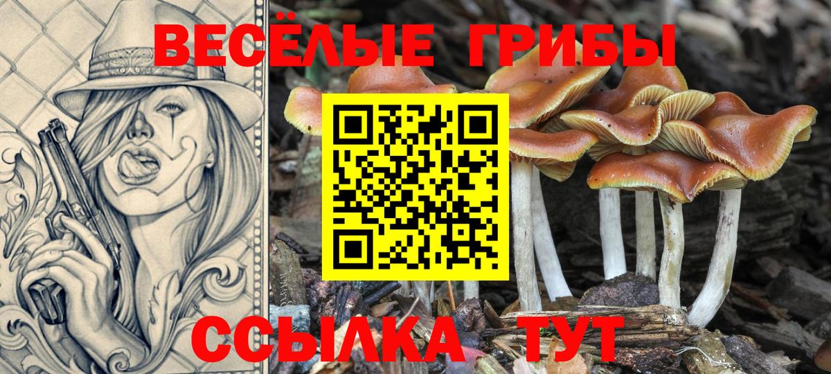 Псилоцибиновые грибы мухоморы  Вход с VPN  Юрга 