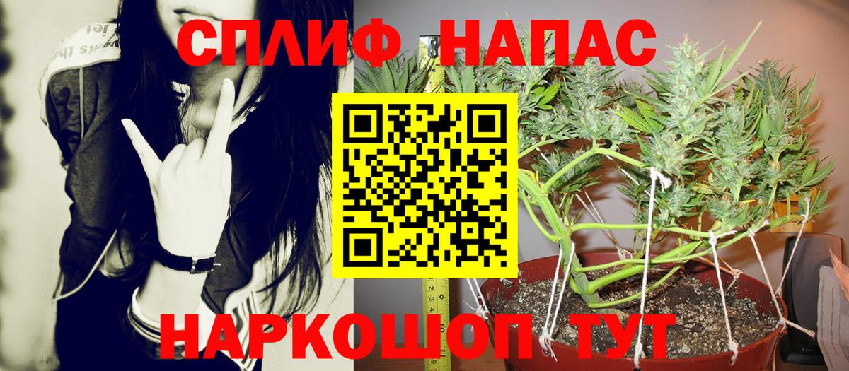 Бошки марихуана ГИДРОПОН Юрга